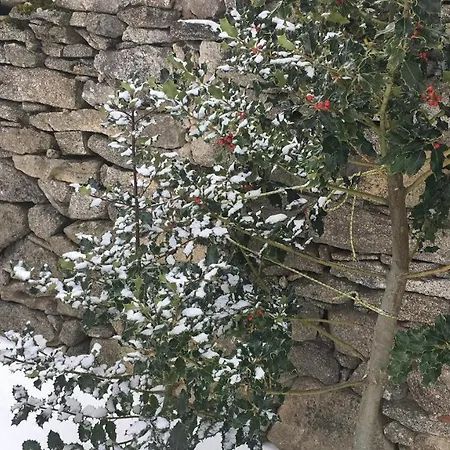 House With 4 Bedrooms In De Gredos, With Wonderful Mountain View... Appartement *
